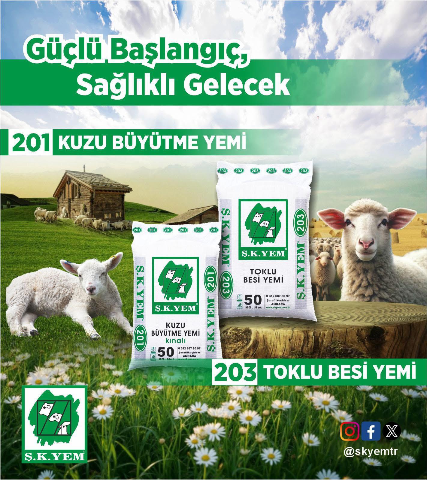 Küçükbaş Besisinde Yüksek Performans, Yemden Maximum Faydalanma